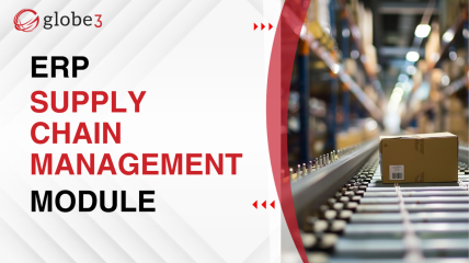 Supply Chain Management ERP