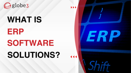 What is ERP Software Solutions?